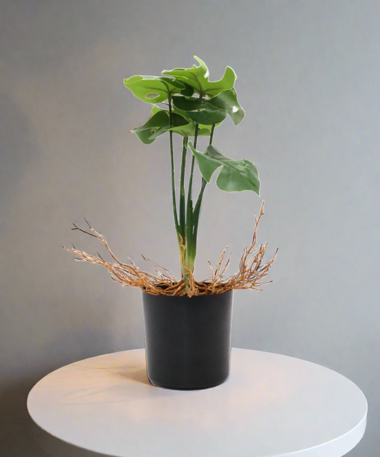 green leaf & plastic pot 4"hx 13"w china d780