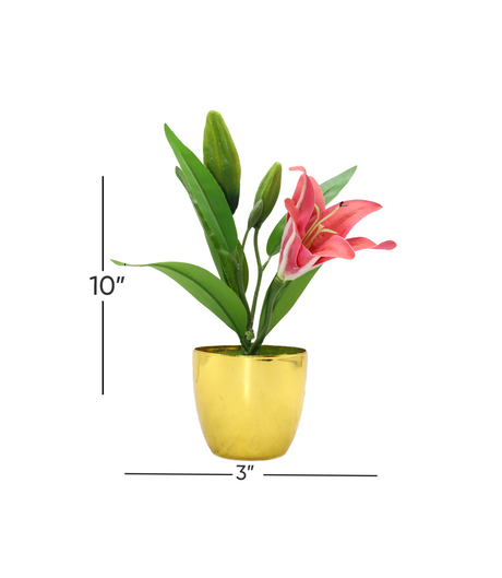 redish flower & plastic pot 3"hx 10"w china d605