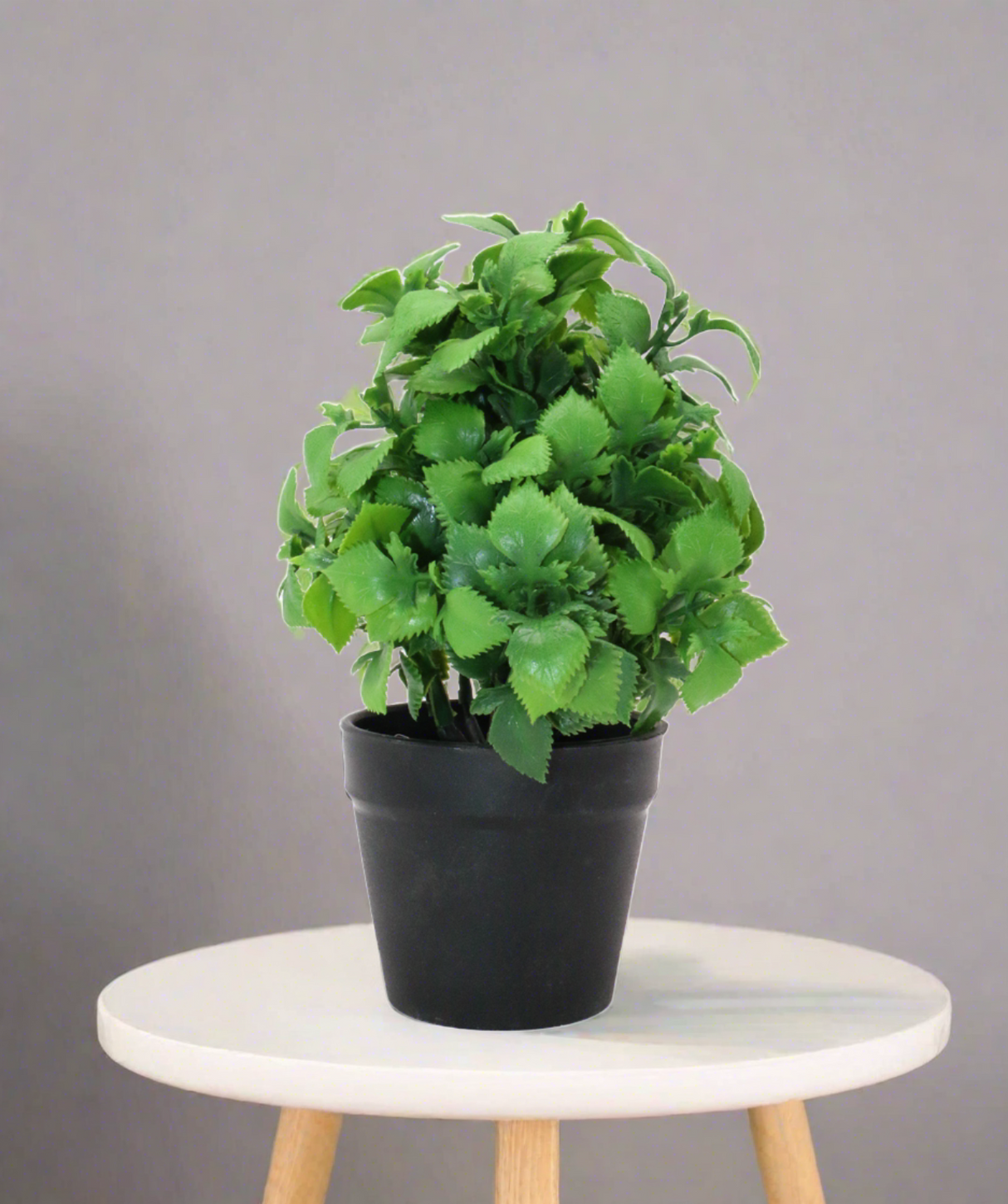 green leaf & plastic pot 2.5"hx 7.5"wchina d283