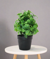 green leaf & plastic pot 2.5"hx 7.5"wchina d283