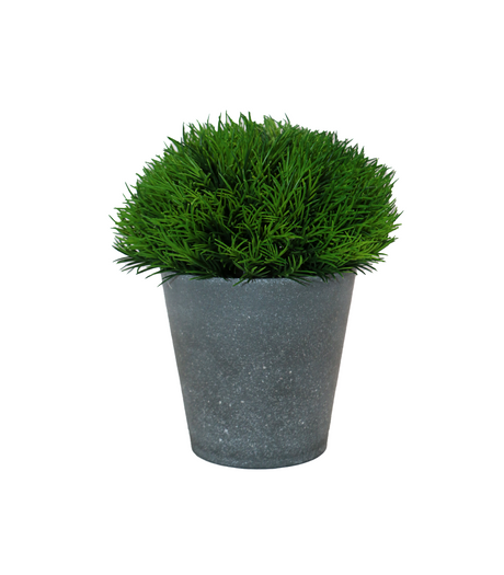 grass & ceramic potchina 2077