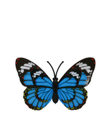 fridge magnet butterfly s china