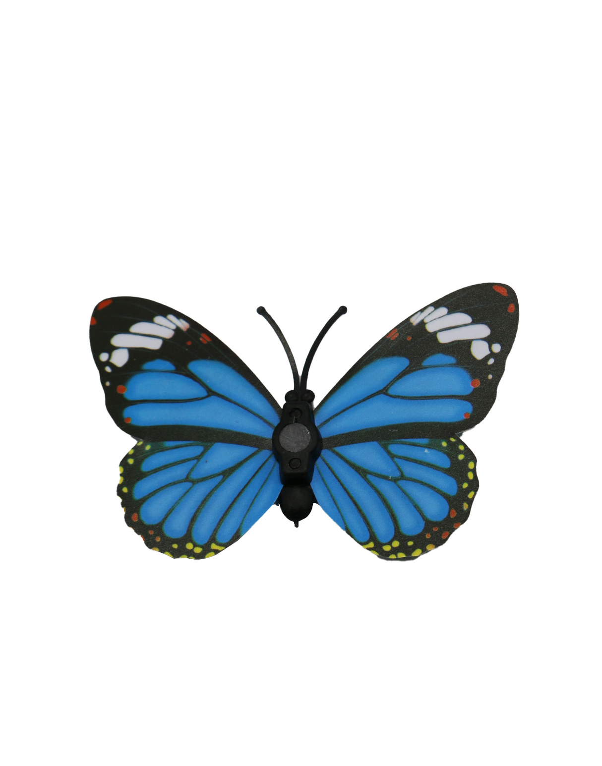 fridge magnet butterfly s china