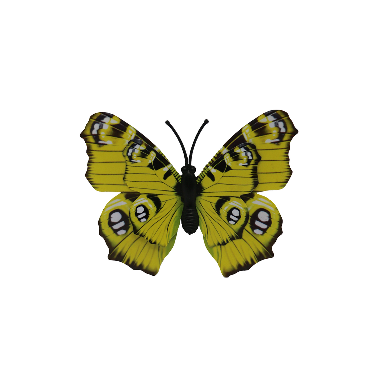 fridge magnet butterfly s china