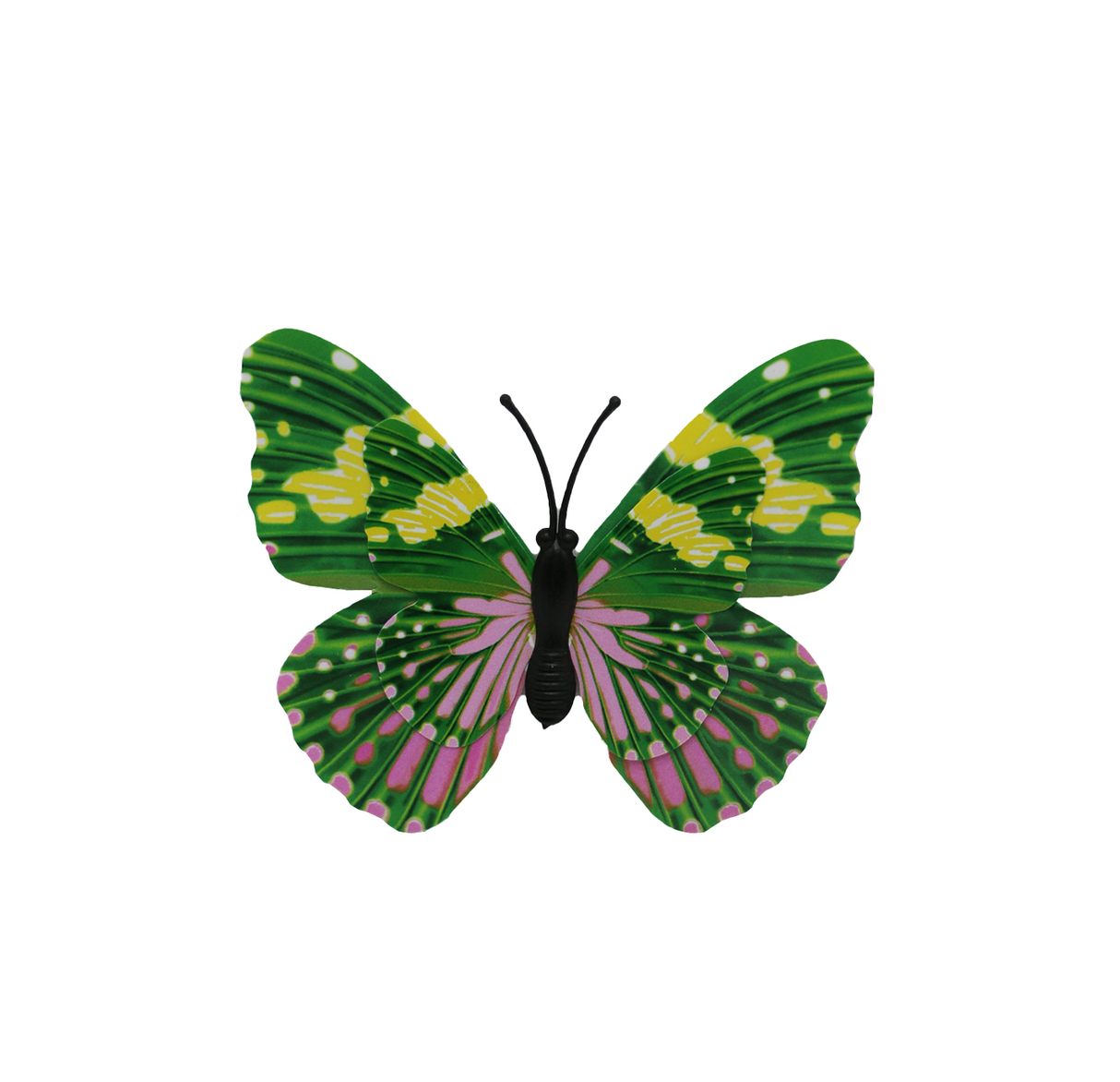 fridge magnet butterfly s china