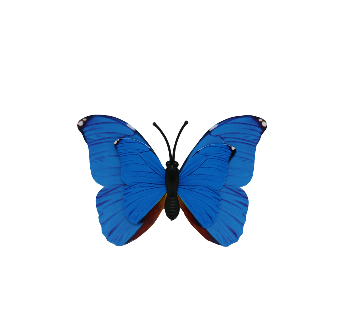 fridge magnet butterfly s china