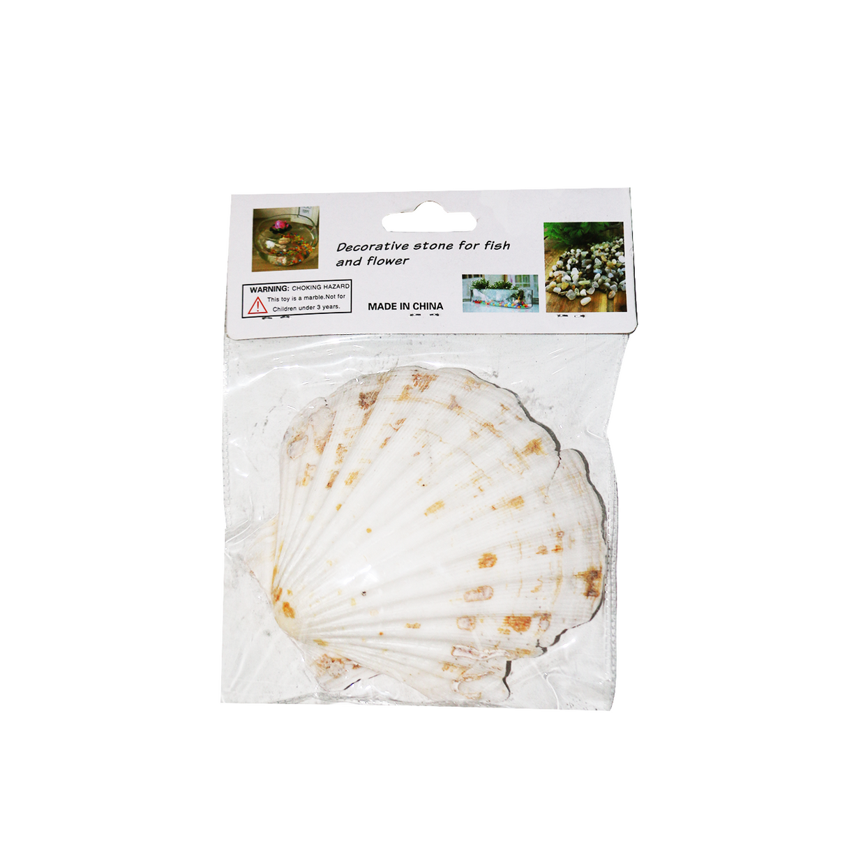 aquarium decor sea shell china 997