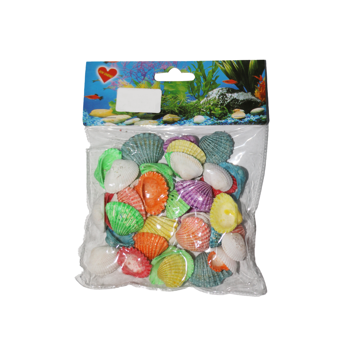 decorative sea shell multi color china d017