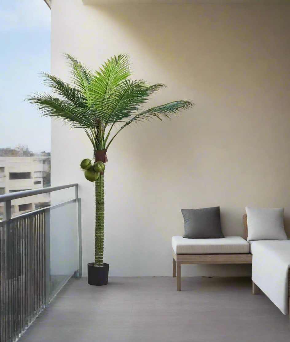 coconut plant china