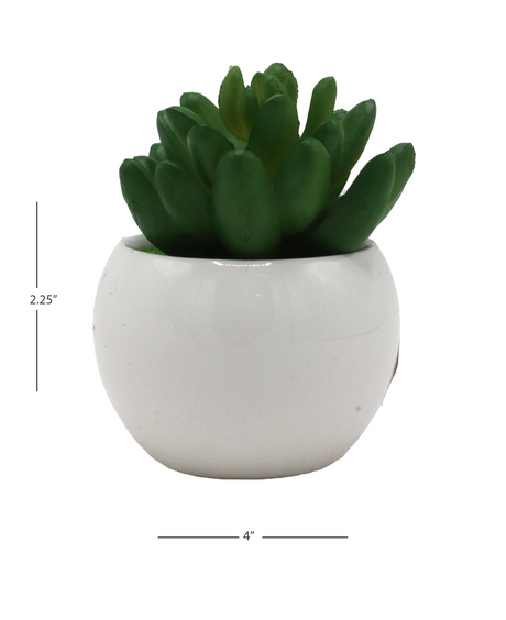 desert green plant & ceramic pot 2.25"x 4" china d863