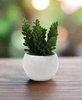 desert bush plant & ceramic pot 2.5"hx 5"w china d868
