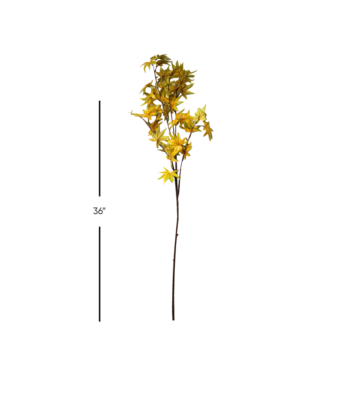 maple leaf branch yellow green 36" china  876-52