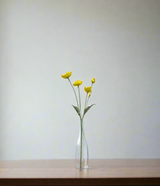 yellow poppy flower branch 23" china d304