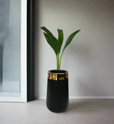 planter fiber golden patti 26"x12" black d643
