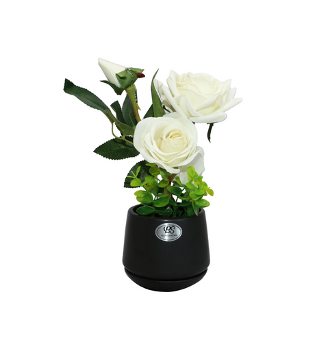white flower with ceramic pot china
