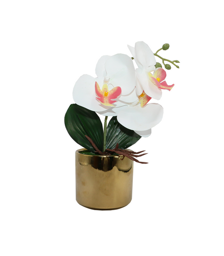 2tone white flower with ceramic pot china