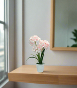 white flower with plastic pot china 05-1