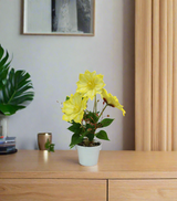 yellow flower with plastic pot china 133-17