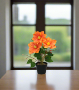 peach flower with plastic pot china 133-17