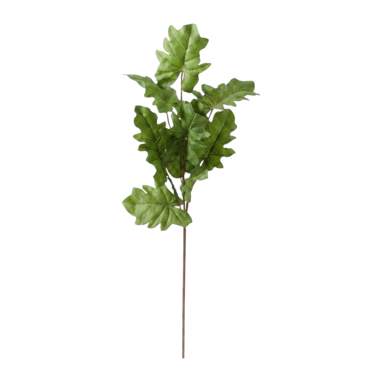branch paper leaf green 38'' china