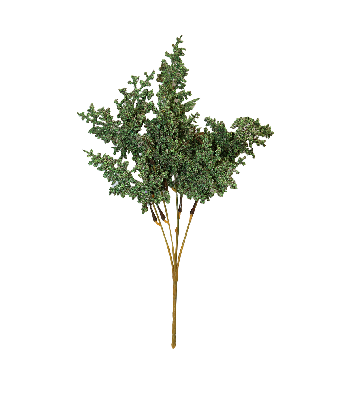 dry bunch green china