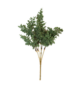 dry bunch green china