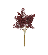 dry bunch maroon china