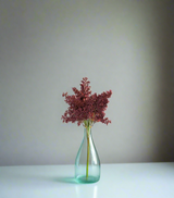 dry bunch maroon china