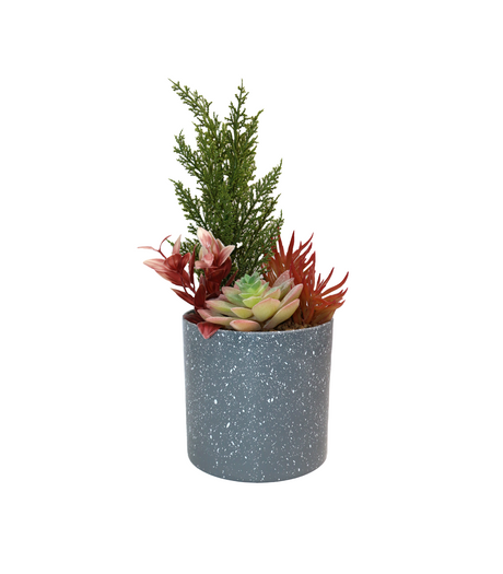arrangements with plastic pot china