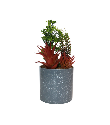arrangements with plastic pot china