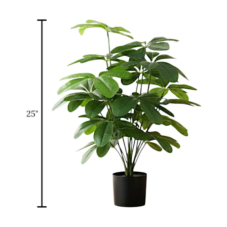 plant with pot 18 leaves china 811 25"