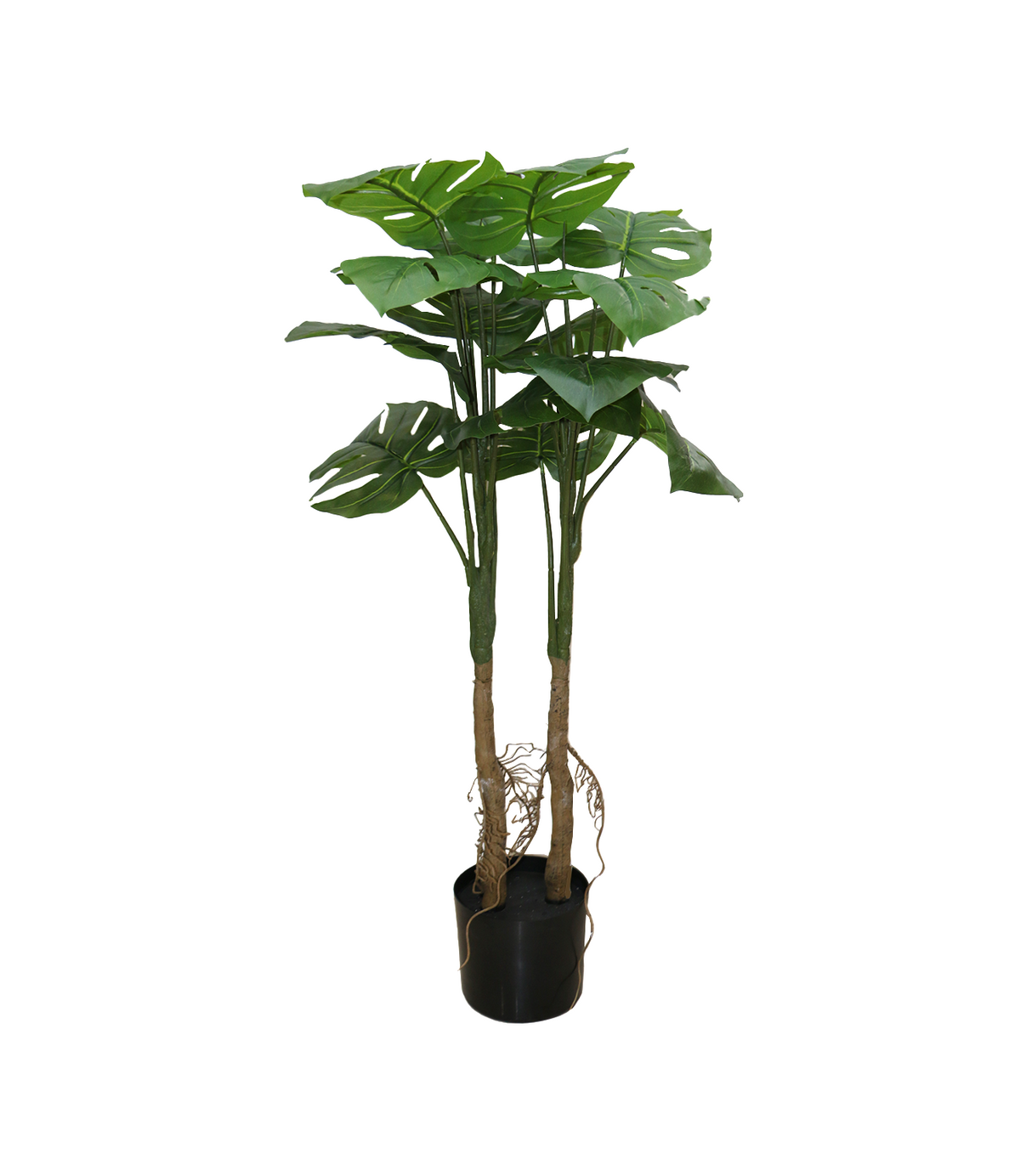 plant with pot 14 leaves china 1659