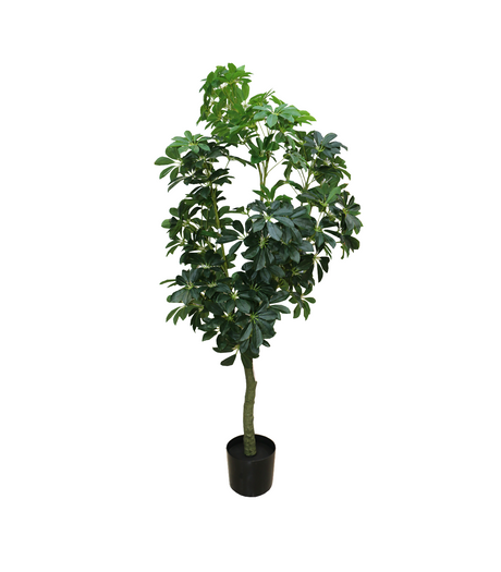 leaf tree with pot china 1694