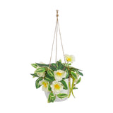flower pot hanging plastic christmas rose white 7"x4" china