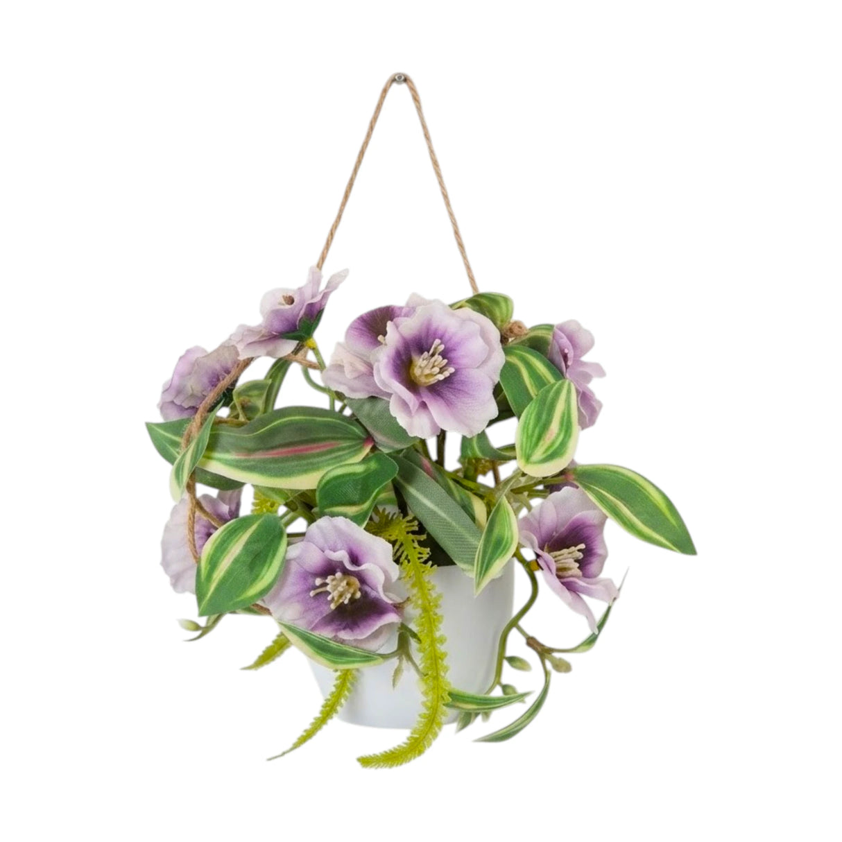 flower pot hanging plastic christmas rose purple 7"x4" china