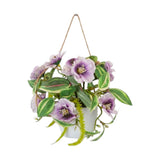 flower pot hanging plastic christmas rose purple 7"x4" china