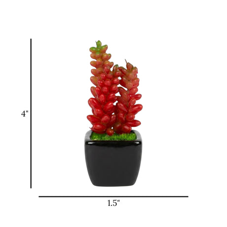 cactus & ceramic pot red 4"x1.5 china d040