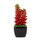 cactus & ceramic pot red 4"x1.5 china d040