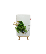 wish card with dry green flower china (6.5"x4.2")