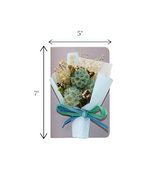 wish card blue with dry flower bouquet china (7"x5")