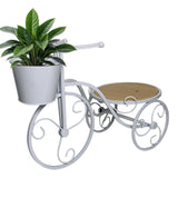 metal cycle planter white china "12x16"