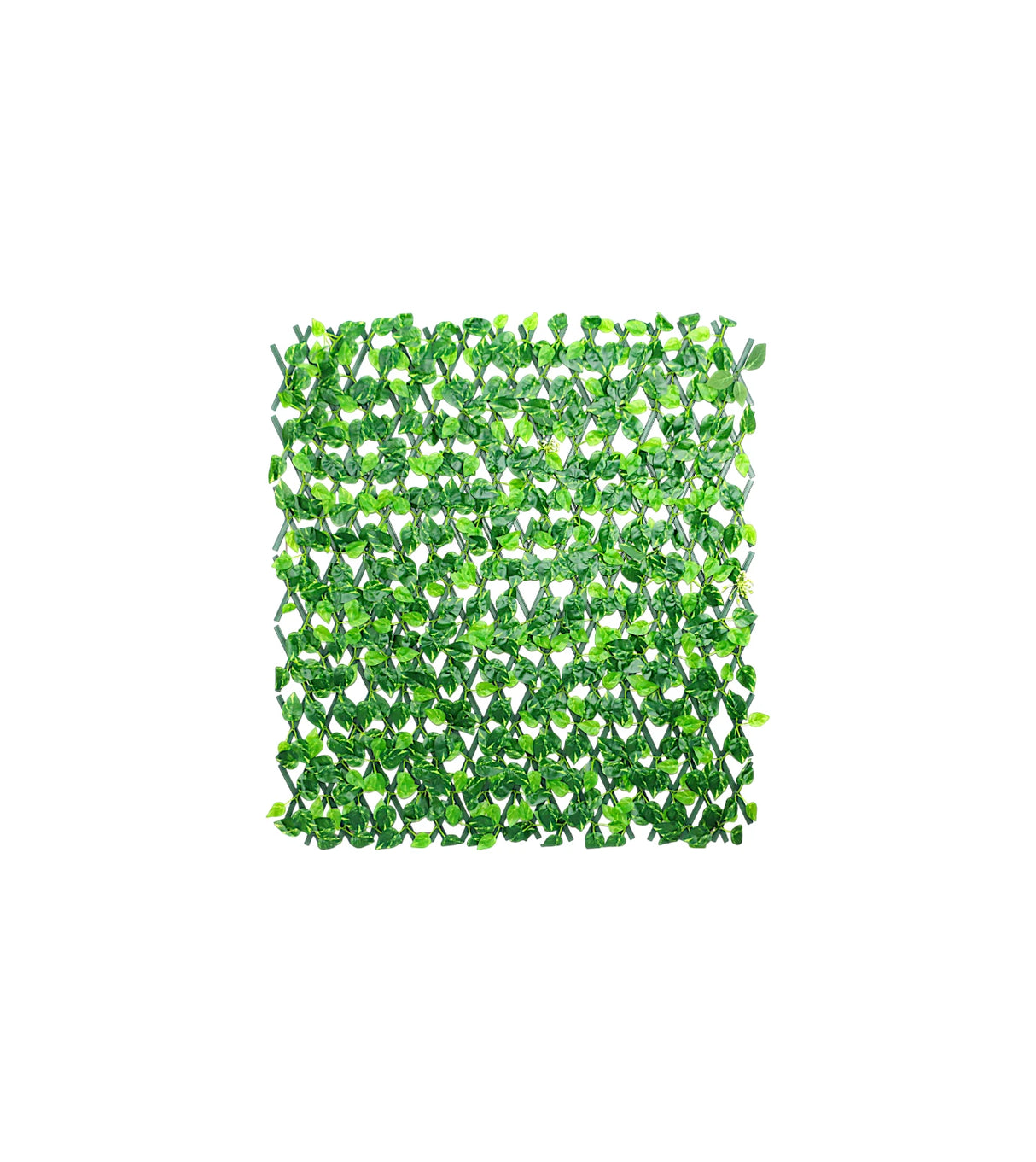 deewari folding green leaf large china