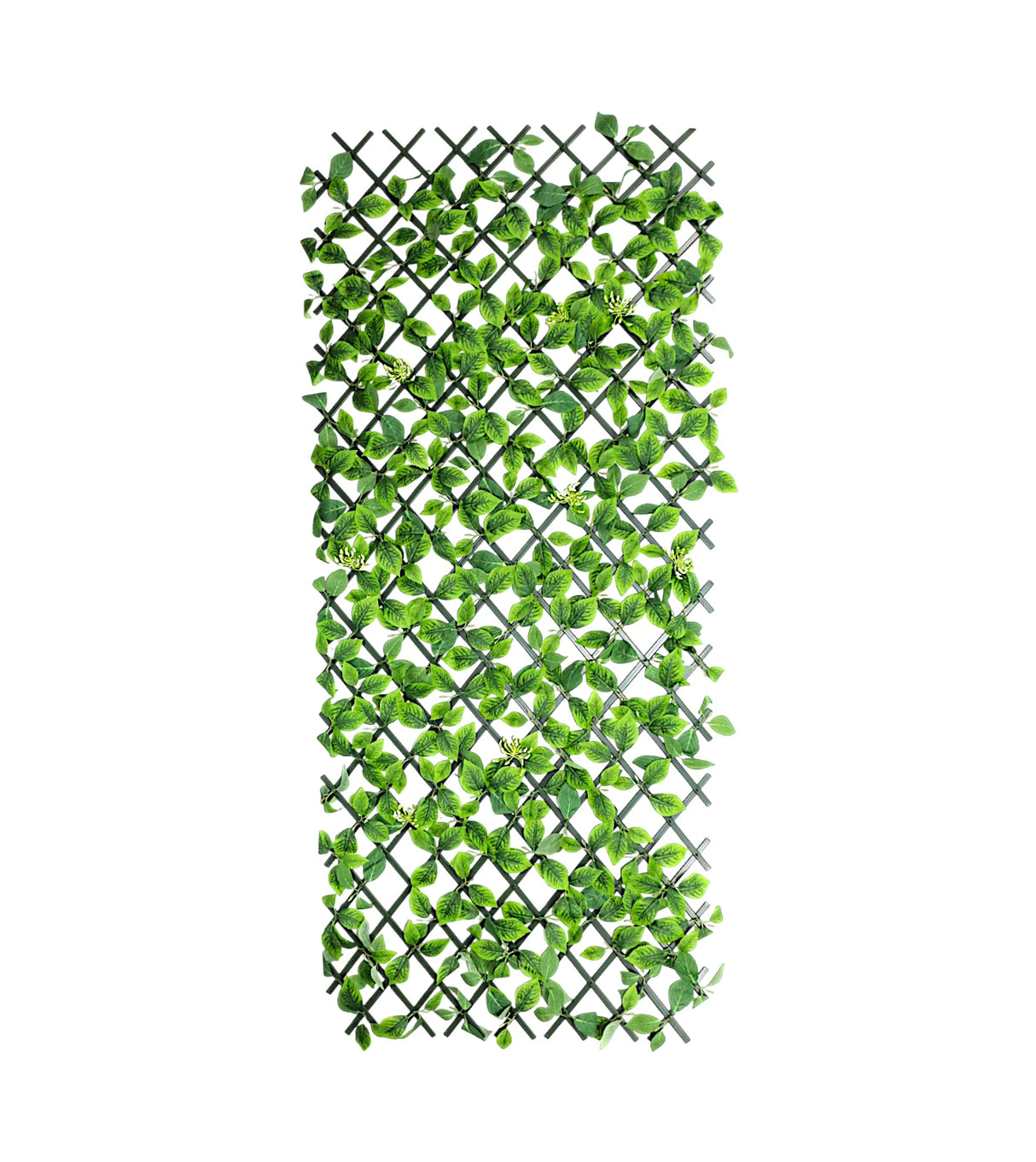 deewari folding green leaf large china