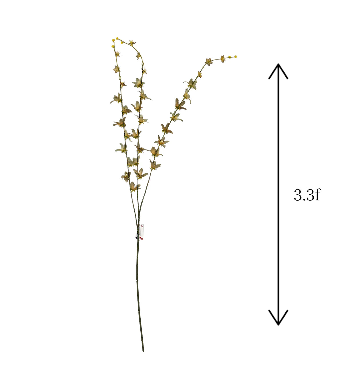 olive flower star branch 40" china