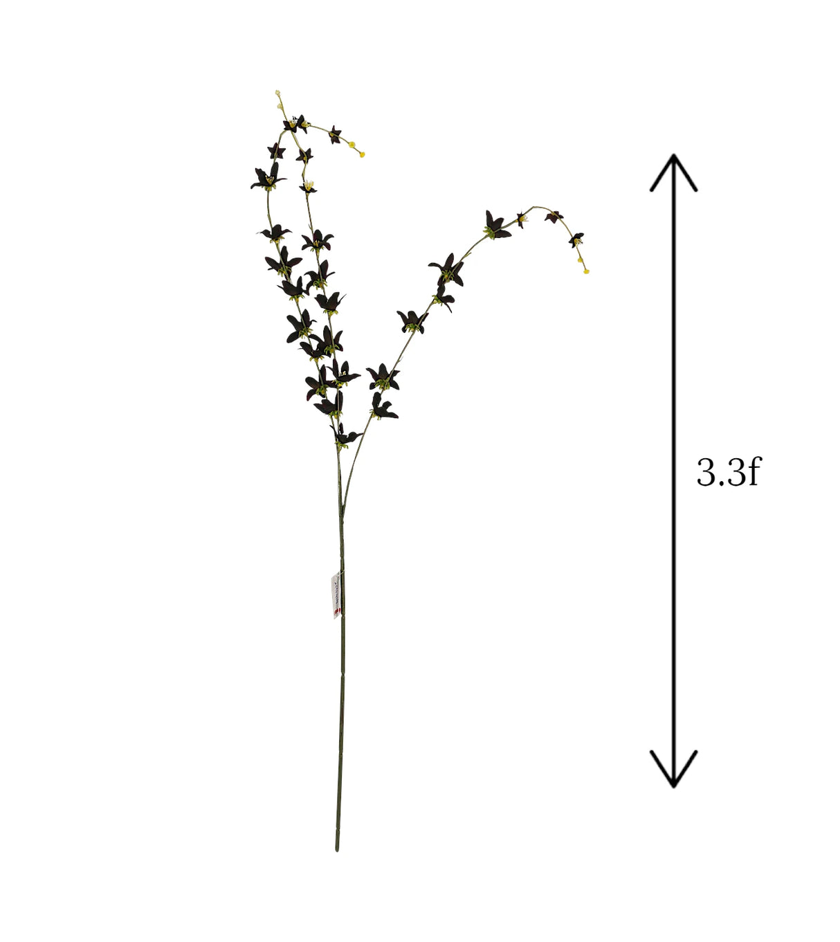 black flower star branch 40" china