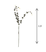 black flower star branch 40" china