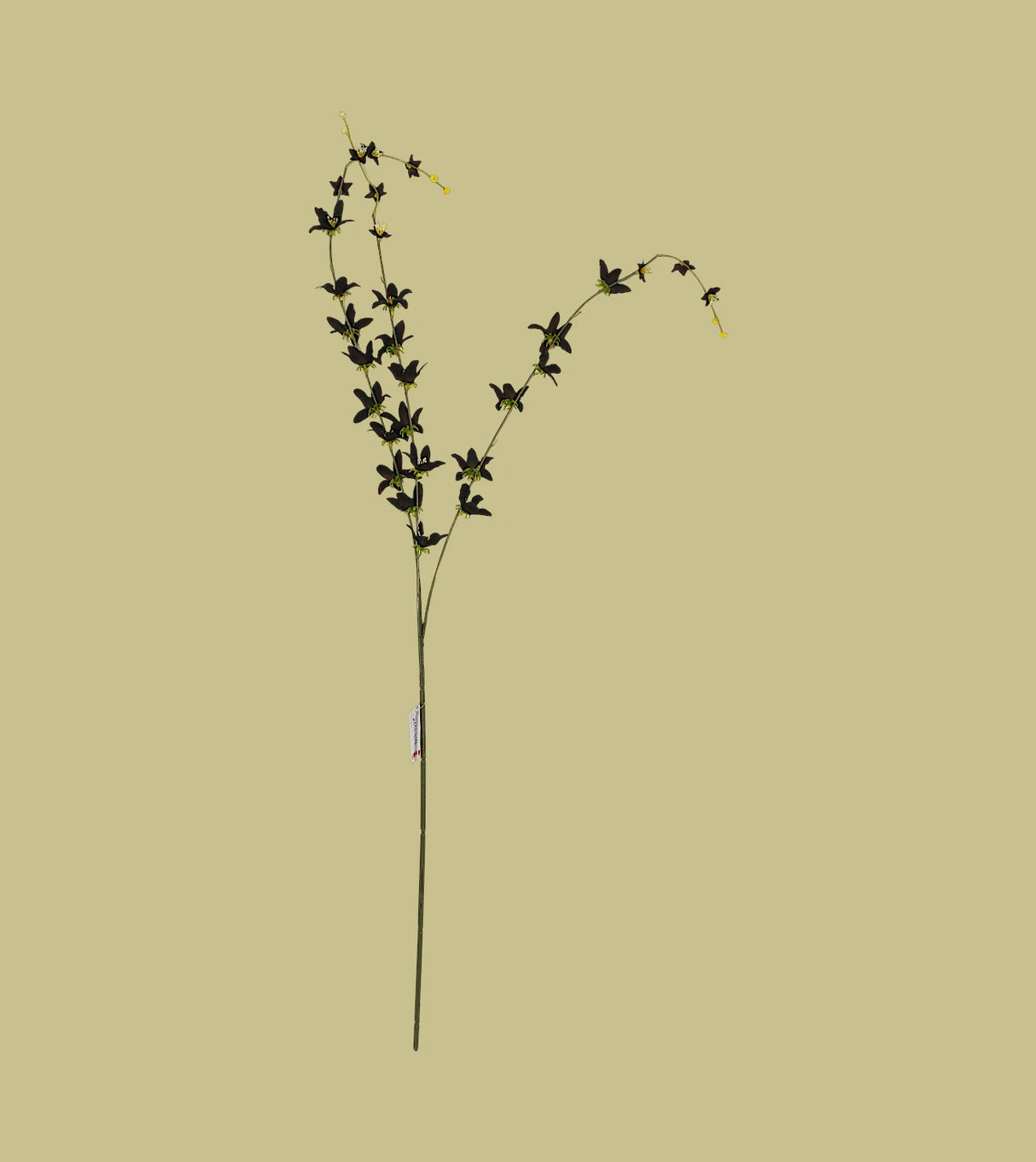 black flower star branch 40" china
