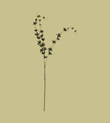 black flower star branch 40" china
