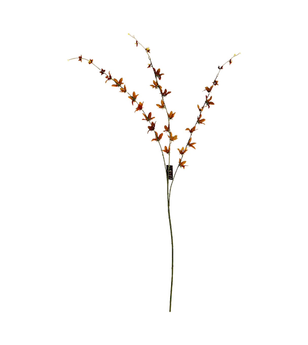 orange flower star branch 40" china