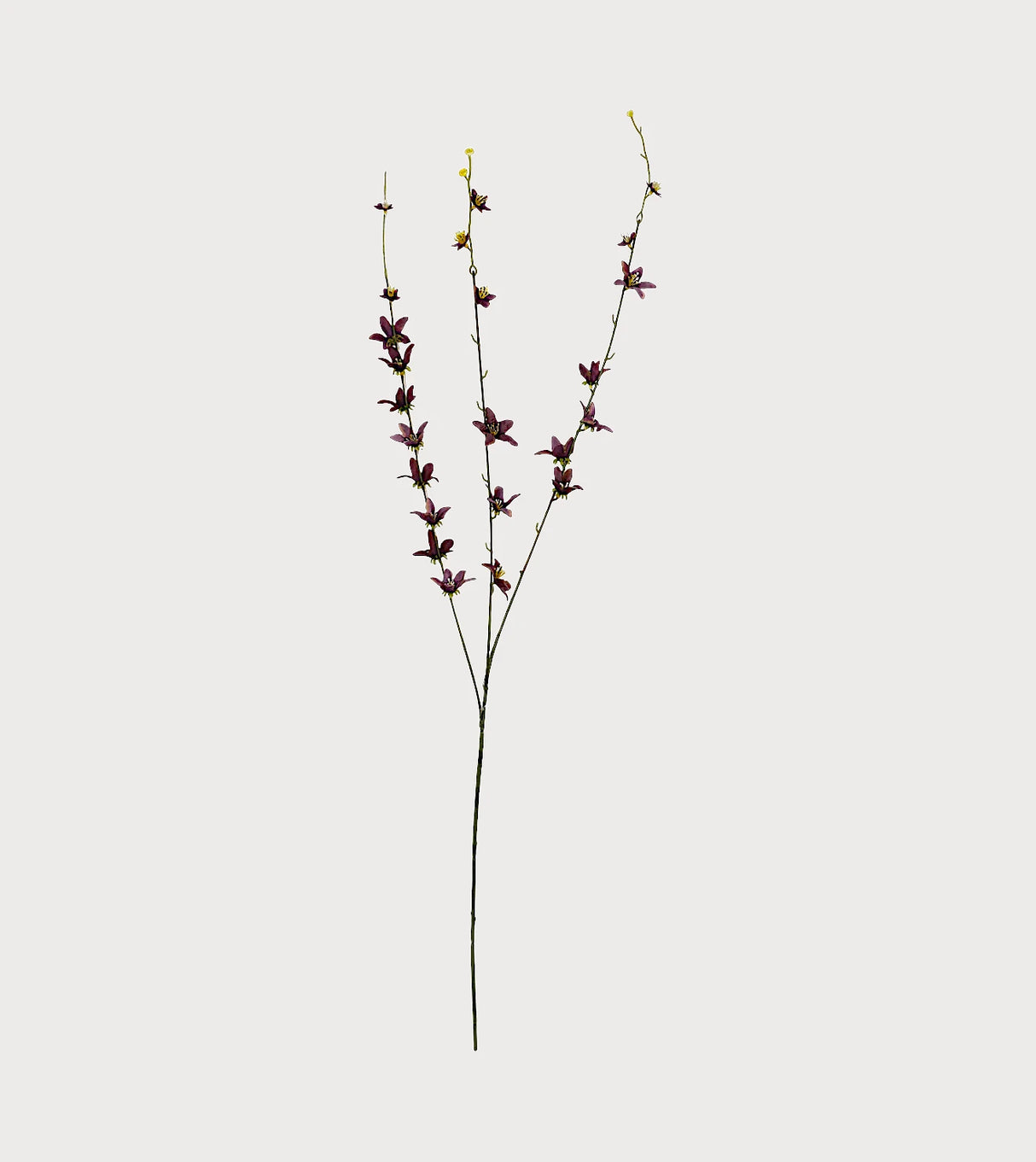 purple flower star branch 40" china